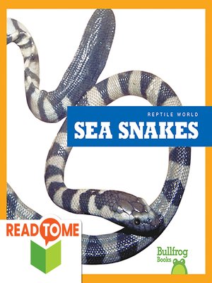 cover image of Sea Snakes